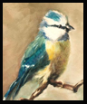Carol Corsell